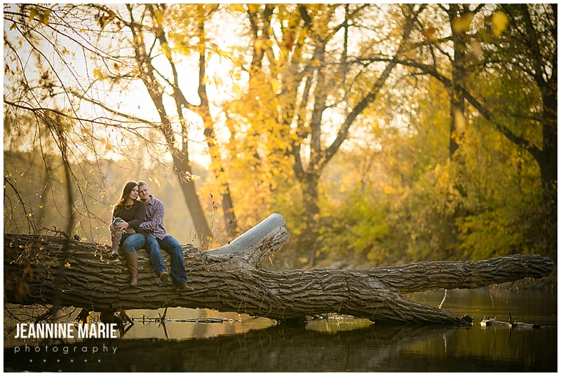 Boom Island, Mississippi River, tree, fall, leaves, couple, sitting in tree, sunlight, gold leaves